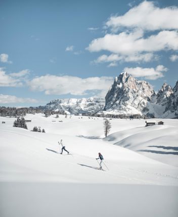 Cross-Country Skiing