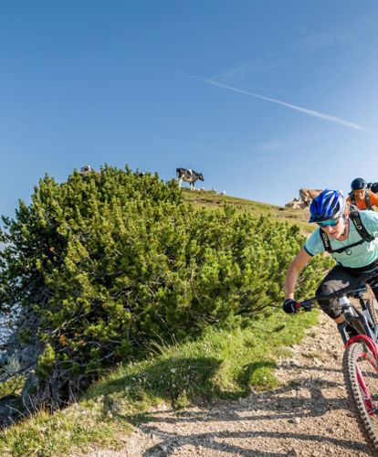 MTB im Sommer