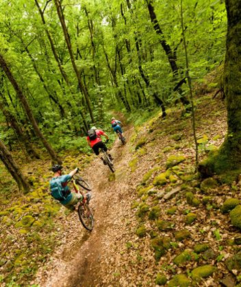 MTB nel bosco