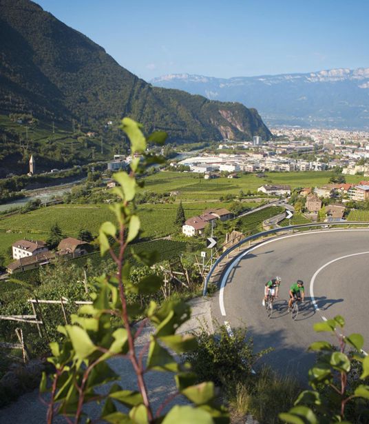 Tour di bici da corsa