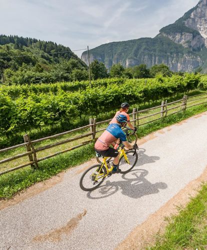 Two people are riding racing bicycles