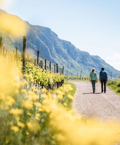 Wandern in Südtirols Süden