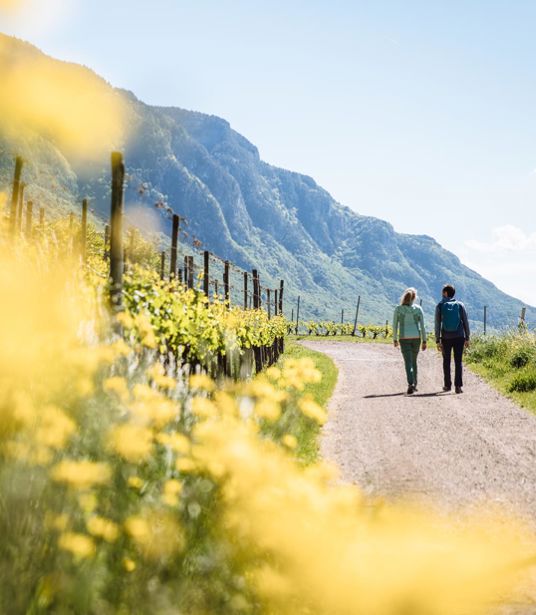 Hiking in the South of South Tyrol