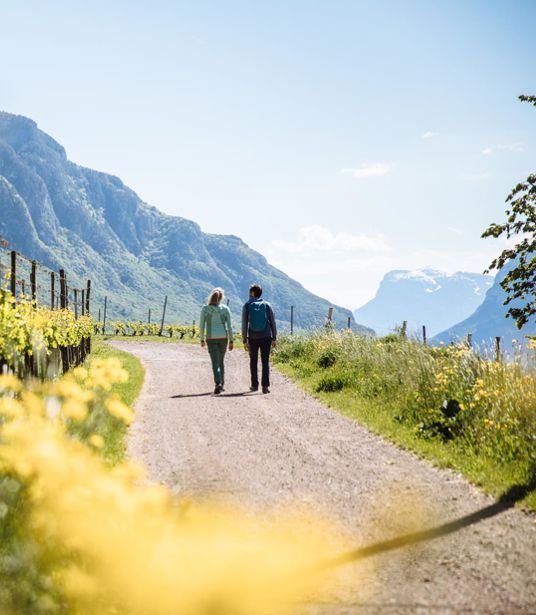 Escursioni al sud dell'Alto Adige