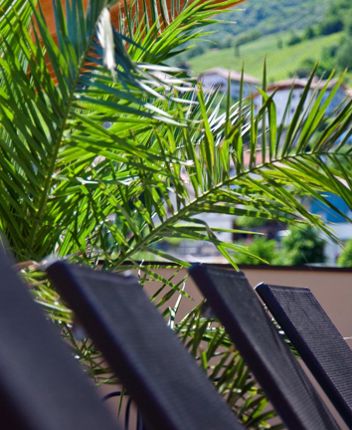 Sun Loungers on the Panoramic Terrace