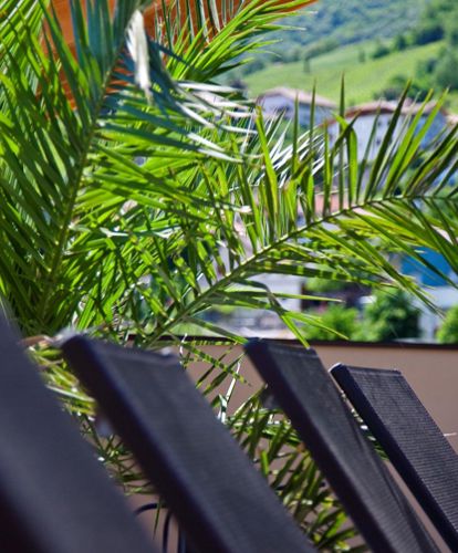 Sun Loungers on the Panoramic Terrace