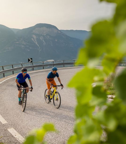 Tour di bici da corsa