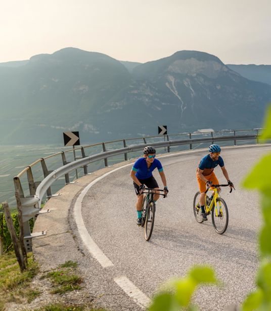 Tour di bici da corsa