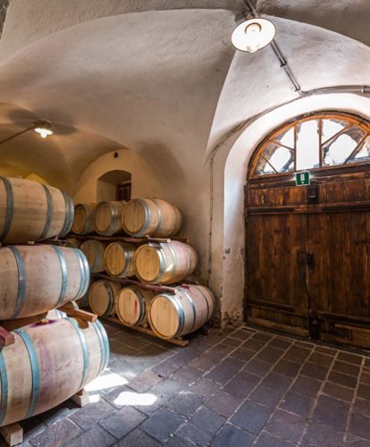 Cantina con botti di vino