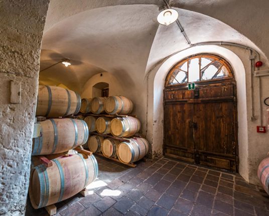 Cellar with Wine Barrels