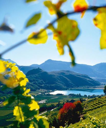 Lago di Caldaro